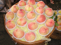 正宗阳山水蜜桃