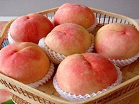 正宗阳山水蜜桃