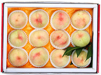 正宗阳山水蜜桃