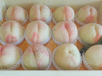 正宗阳山水蜜桃