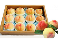 正宗阳山水蜜桃