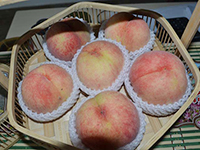 正宗阳山水蜜桃