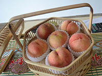 正宗阳山水蜜桃